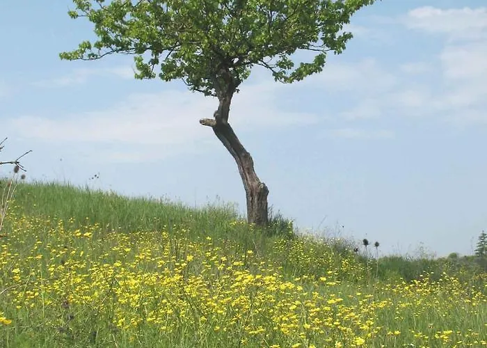 Апартаменти La Torretta - 4rooms With Pool Сієна