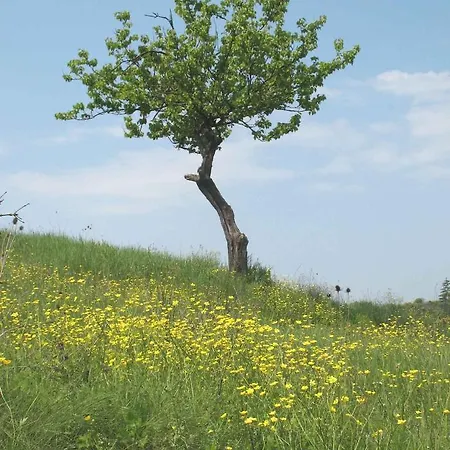 Appartement La Torretta - 4rooms With Pool Siena