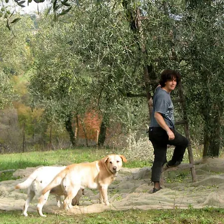 公寓 La Torretta - 4rooms With Pool 锡耶纳