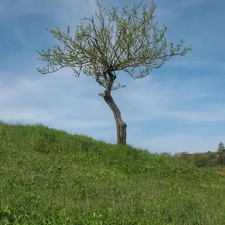 Apartment La Torretta - 4rooms With Pool *