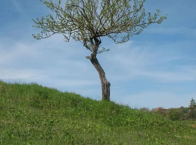 Apartment La Torretta - 4rooms With Pool *