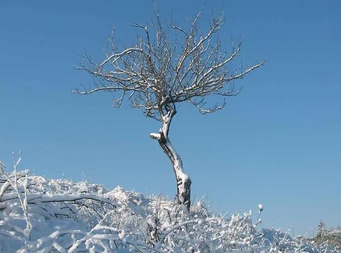 아파트 La Torretta - 4rooms With Pool