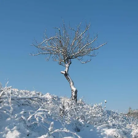 Lejlighed La Torretta - 4rooms With Pool