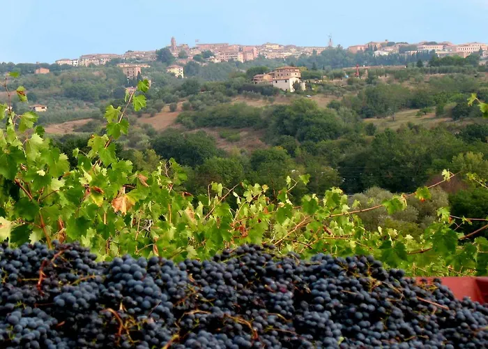 La Torretta - 4rooms With Pool 公寓