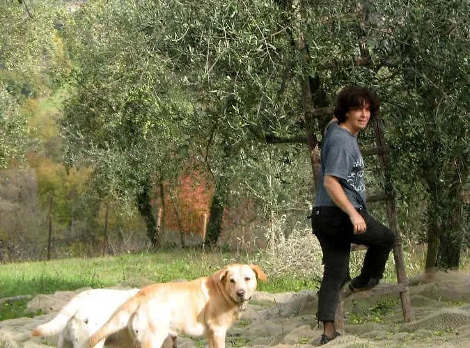 公寓 La Torretta - 4rooms With Pool 锡耶纳